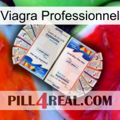 Viagra Professional Set kamagra1